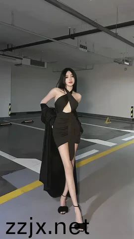 国产午夜精品一区二区