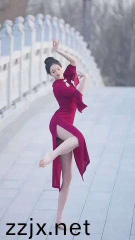 小伴龙玩数学：亚洲国产美女精品久久久久
