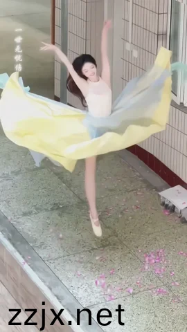91精品综合久久久久3d动漫