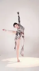 日本一区二区不卡久久入口