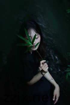 国产 日韩 高清 永久免费