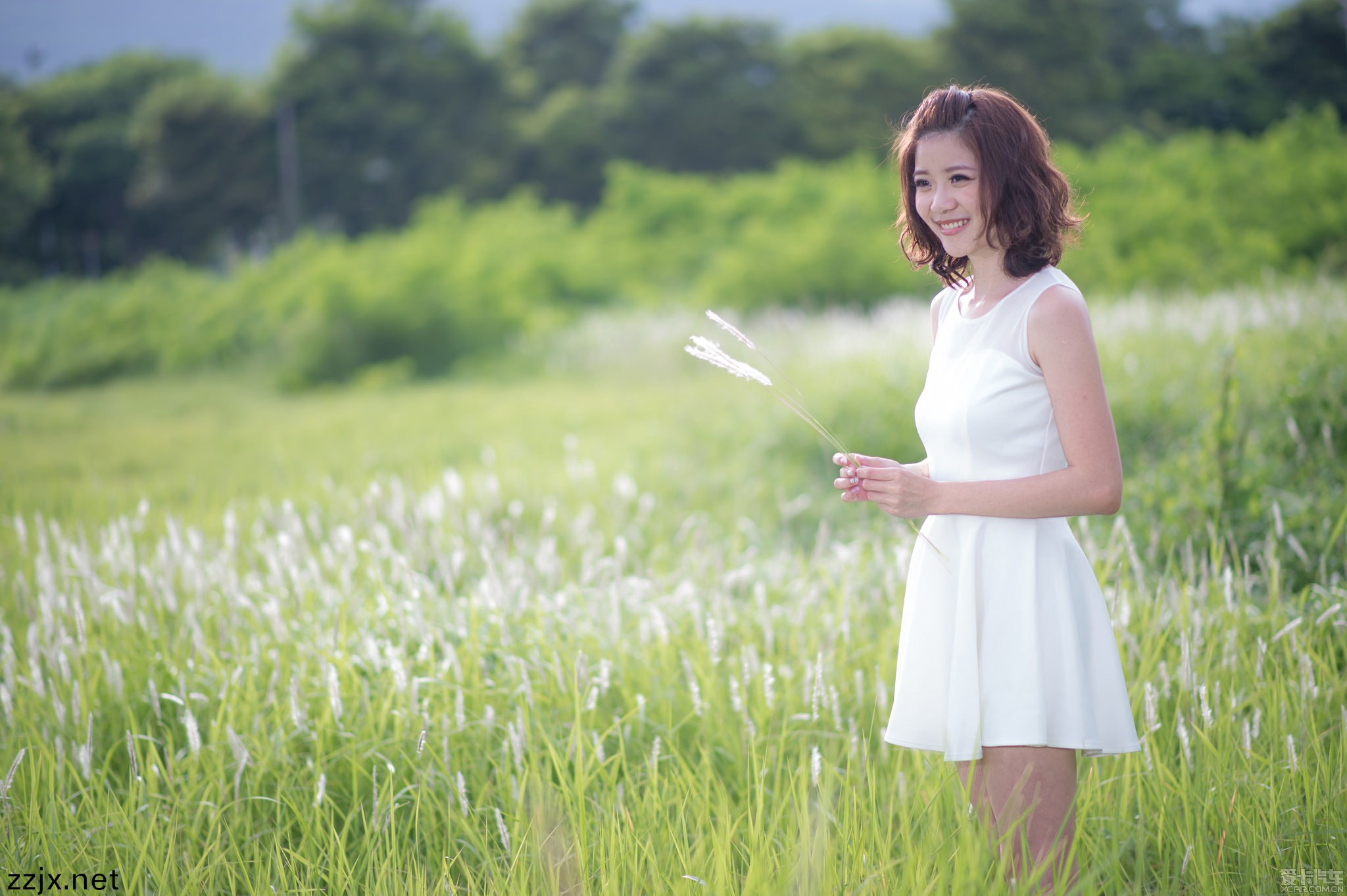 一级a性色生活片久久无少妇一级婬片免费放