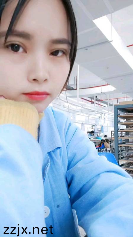 欧美午夜理伦三级在线观看